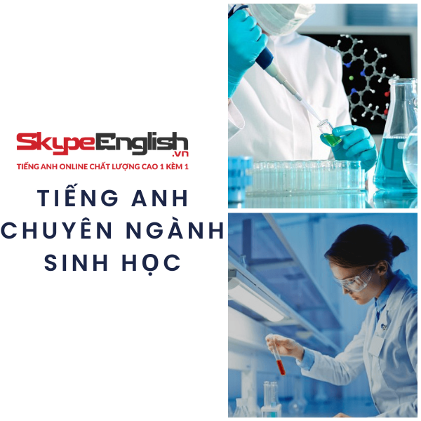 Khám phá từ điển tiếng Anh chuyên ngành sinh học