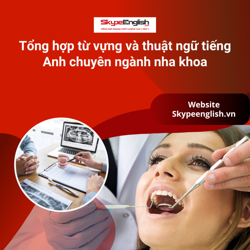 Tổng hợp từ vựng và thuật ngữ tiếng Anh chuyên ngành nha khoa Tổng hợp từ vựng và thuật ngữ tiếng Anh chuyên ngành nha khoa