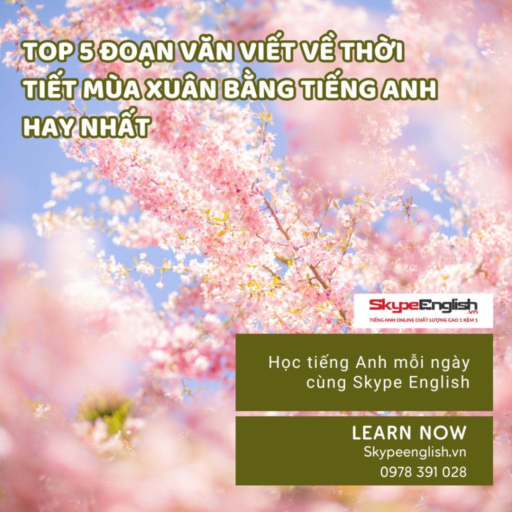Top 5 đoạn văn viết về thời tiết mùa xuân bằng tiếng Anh hay nhất