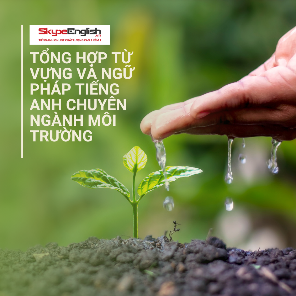 Tổng hợp từ vựng và ngữ pháp tiếng Anh chuyên ngành môi trường Tổng hợp từ vựng và ngữ pháp tiếng Anh chuyên ngành môi trường